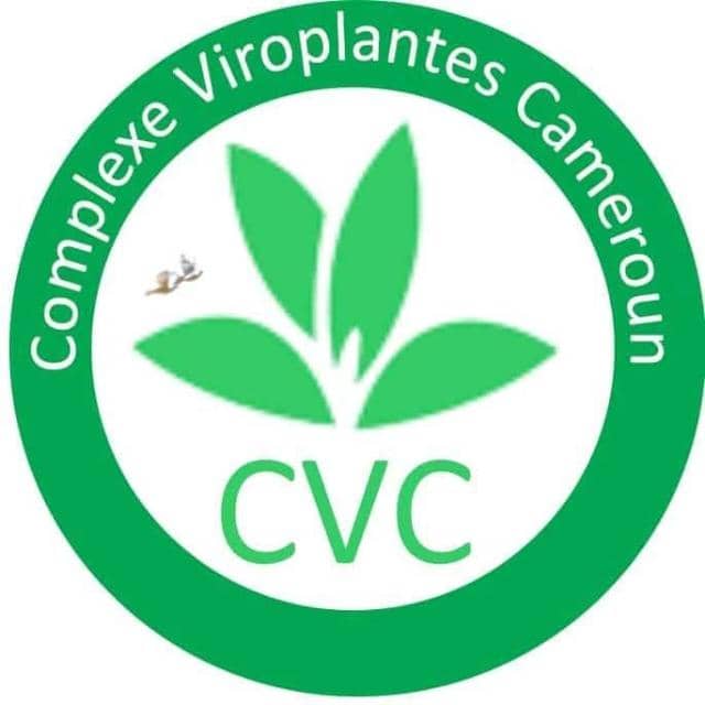 logo cvc